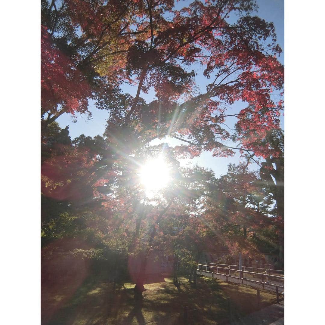 渋佐和佳奈さんのインスタグラム写真 - (渋佐和佳奈Instagram)「今が京都の紅葉ベストシーズンですが、私も先月行ってきました🍁😊 2年ぶりの京都、お天気も良くて紅葉も金閣寺も綺麗に映えてました💓✨✨京都は何度行っても本当に最高！！ #京都 #紅葉狩り #🍁 #渋佐和佳奈 #旅行好き」12月3日 21時35分 - shibusa_wakana