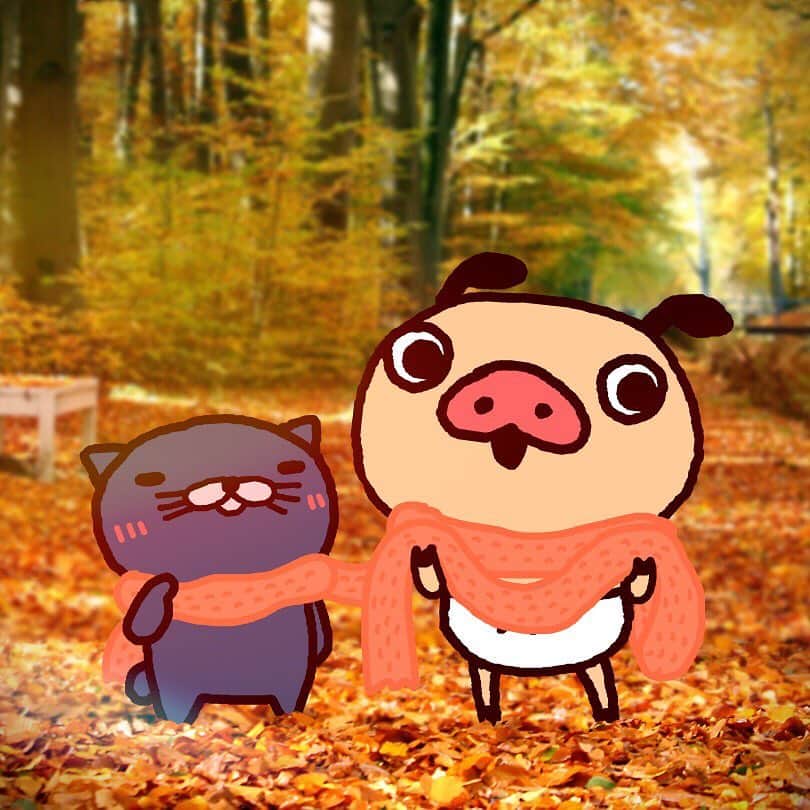 パンパカパンツ公式のインスタグラム