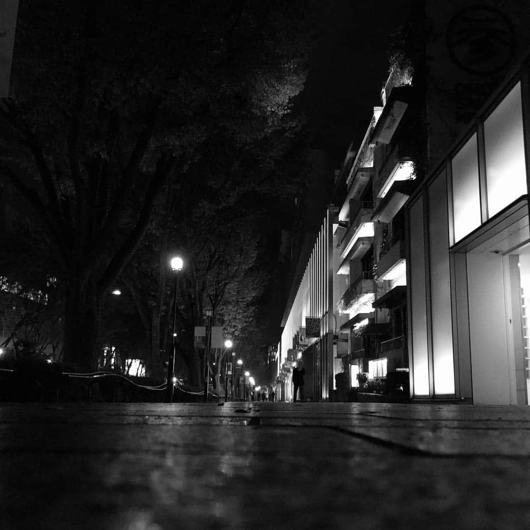 Miku Hirata 平田未来のインスタグラム：「Omotesando」
