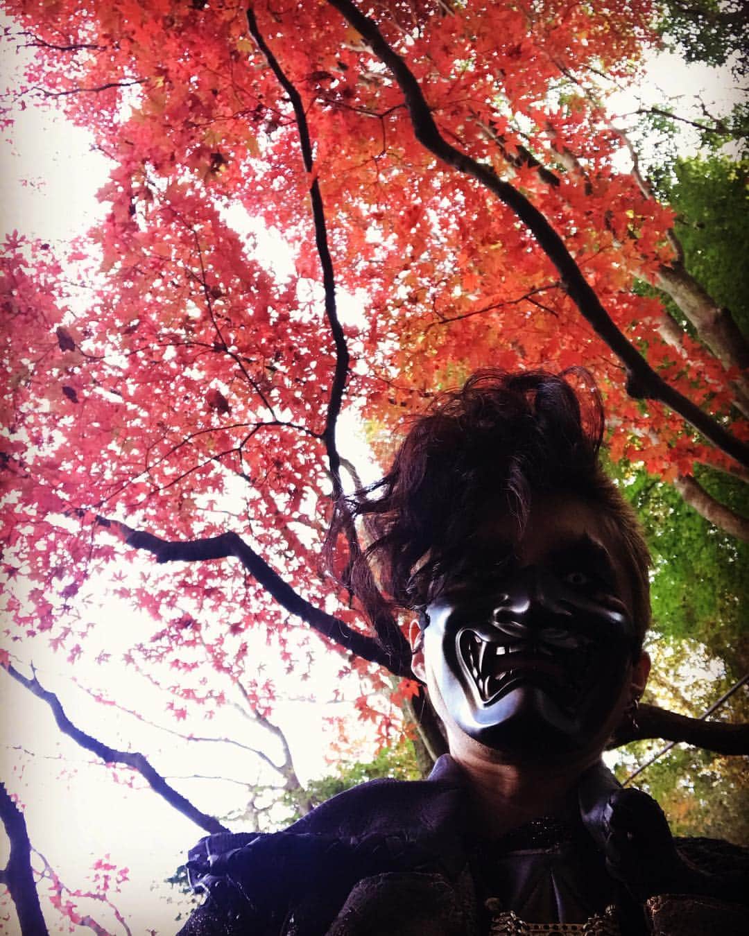 Ju-kenさんのインスタグラム写真 - (Ju-kenInstagram)「🍁🍂ダテちゃんと、日本の秋🍂🍁 #戦国時代 #sengokujidai #ビデオ撮影 #日本の秋 @sngk_jdi」12月4日 13時12分 - jkn627