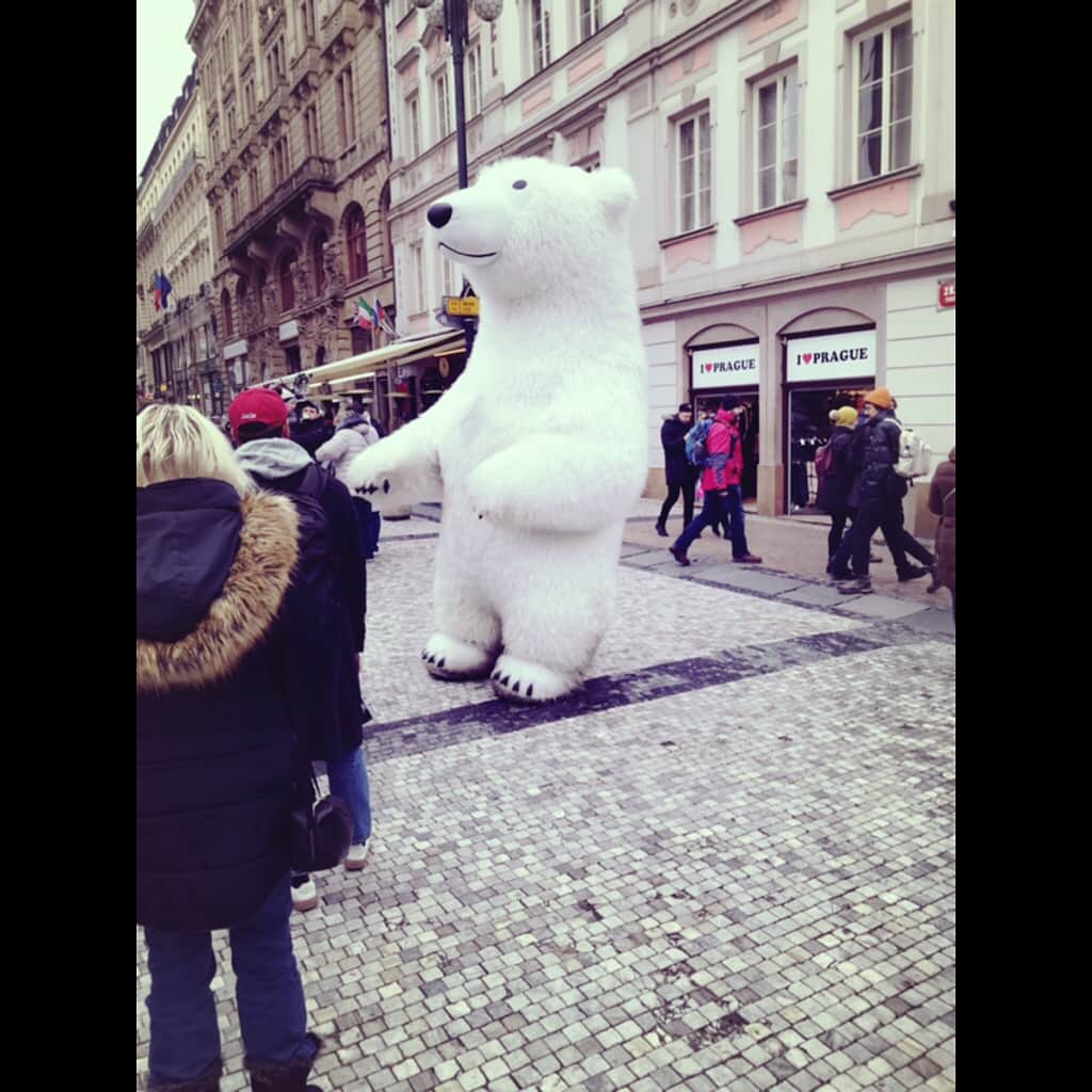 吉田羊さんのインスタグラム写真 - (吉田羊Instagram)「ねぇ、あの熊ちょーおっきくない？ ばかだな、遠近法だよ。 #今どこクイズ #寒波で連日氷点下 #さむーいねー #熊、実寸」12月4日 14時41分 - yoshidayoh_official