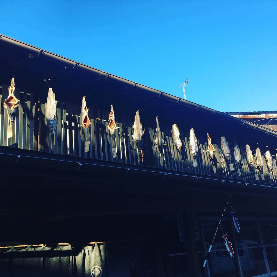 三石佳那さんのインスタグラム写真 - (三石佳那Instagram)「ㅤㅤㅤㅤㅤㅤㅤㅤㅤㅤㅤㅤㅤㅤㅤㅤㅤㅤㅤㅤㅤㅤㅤㅤㅤㅤㅤㅤㅤㅤㅤㅤㅤㅤㅤㅤㅤㅤㅤㅤㅤㅤㅤㅤㅤㅤㅤㅤㅤㅤㅤㅤ ずっと見てみたかった﻿ 越後村上鮭塩引き街道﻿へ☺︎﻿ ﻿ 軒下で塩引き鮭が揺れる光景﻿ なかなか珍しいですよね。﻿ 村上の冬の風物詩です。﻿ ﻿ 観光協会の方に色々と教えてもらい﻿ 村上牛のメンチカツ﻿ お団子やお茶を食べながら﻿ ぶらぶら街歩き。﻿ ﻿ ﻿ 今週、BSNは にいがたゾッコン宣言﻿ 村上市week﻿ ﻿ 村上の魅力たっぷりお届けしてます。﻿ ﻿ お楽しみに。﻿ ﻿ #村上市#塩引き鮭#新潟#niigata#bsn﻿ #アナウンサー﻿#田中アナ #次回ははらこ丼を食べるぞ﻿#はらこ丼」12月4日 19時35分 - mitsuishi_kana_bsn