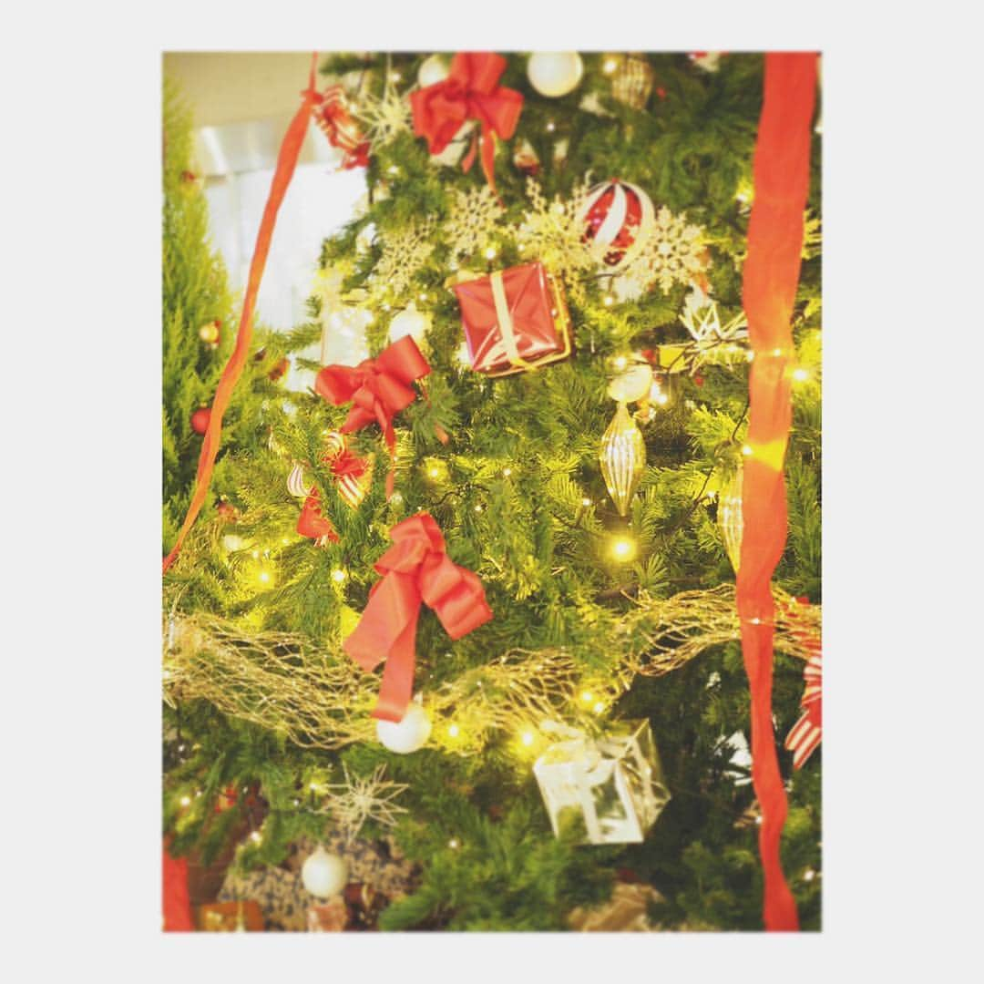 Yukiさんのインスタグラム写真 - (YukiInstagram)「お出かけしていたら🎄があってすっかりXmasの雰囲気でした(o^^o) 🎄🎅🏻わくわくしてる娘ちゃん達を見れて嬉しかった♡  双子ちゃんのリクエストで見る専門だったtiktokすこしだけやってみたら楽しかった😂💗 w  子どもにもおすすめの曲あったら教えてくださいー(o^^o)♡ set up ➯ @urbancherry_」11月10日 22時50分 - yukikuu96