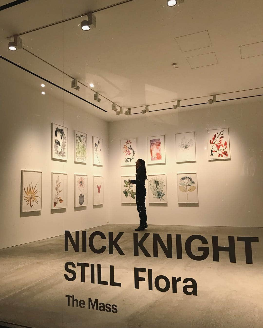 新木優子さんのインスタグラム写真 - (新木優子Instagram)「NICK KNIGHT STILL Floa」11月10日 23時59分 - yuuuuukko_