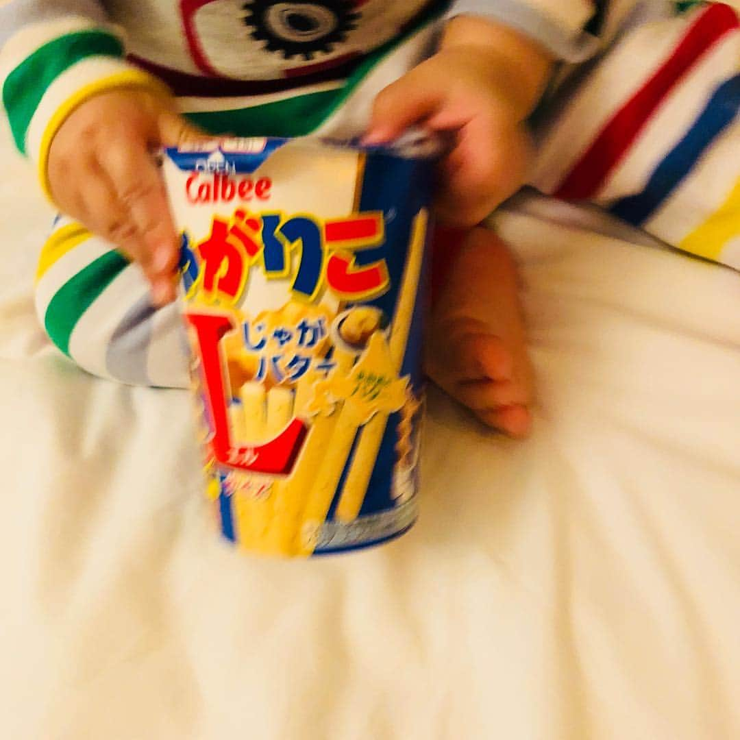 平愛梨さんのインスタグラム写真 - (平愛梨Instagram)「私がじゃがりこ大好きなコトを知ってるかのように私の元に持ってきた😅 「まだ食べれないよ。音だけ楽しんで。じゃがじゃがじゃが」と言ってたら… ん⁈😳 期限！！ 今日までやないかぃ‼︎🤭‼︎ バンビーノ凄くない😳‼︎ なんだ⁈この子の偶然的な現象は🤭 これは😆 私に食べなさい!ということ🤩かな？🤩 #バンビーノ#じゃがりこ#興味#あるね#よしよし#いつか#一緒に#食べようね」11月11日 0時55分 - harikiri_tairi