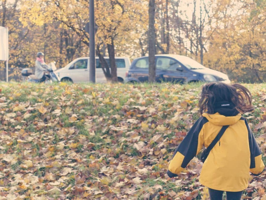 渡辺早織さんのインスタグラム写真 - (渡辺早織Instagram)「🍂📷 . . . .  #癒し系ADの子と #写真撮り合い大会 #だと思ってたら #動画を撮られてた #世界の国境を歩いてみたら・・・ #BS11」11月11日 2時36分 - _watanabesaori_