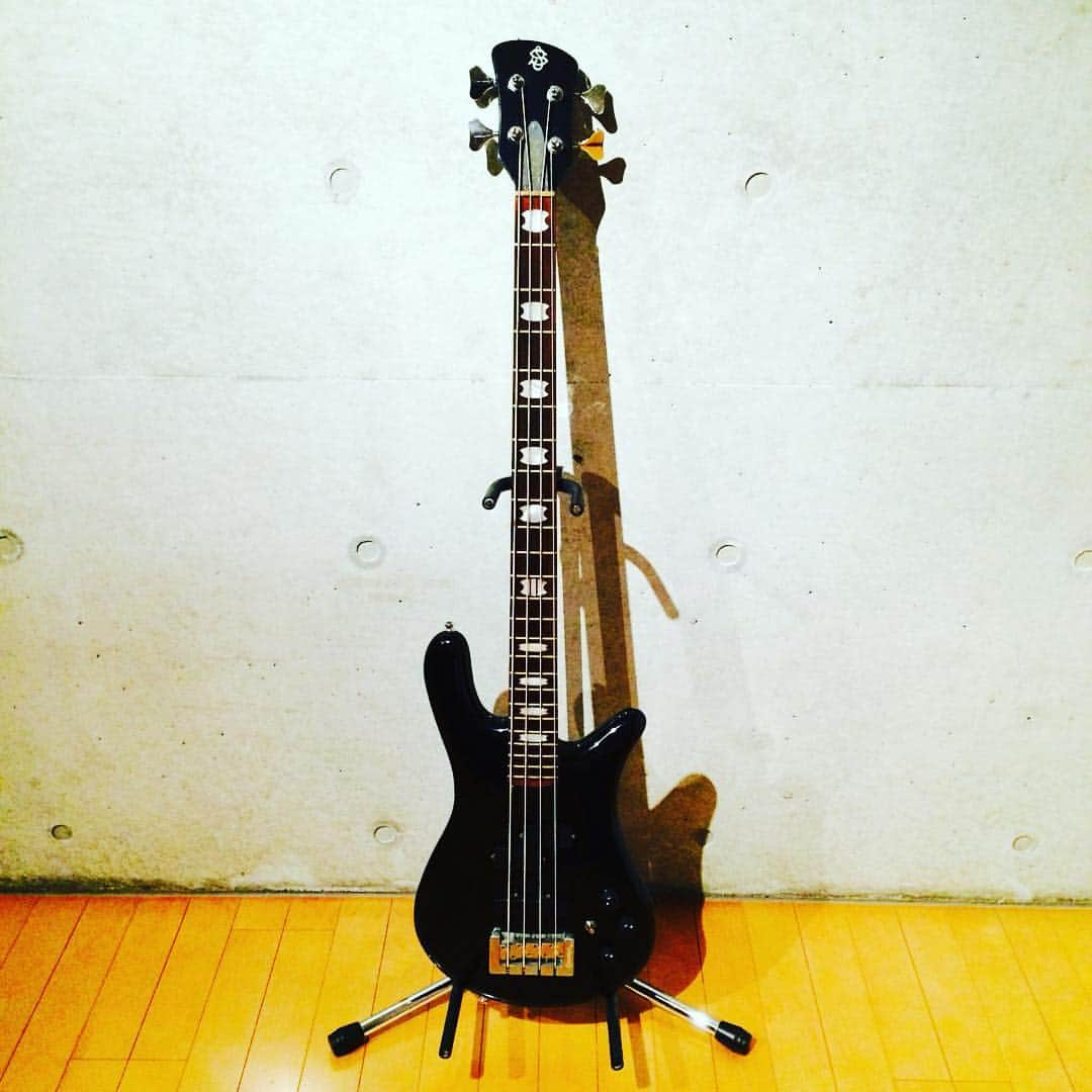 NATCHINさんのインスタグラム写真 - (NATCHINInstagram)「2018.11.11(sun)Today is bass day. #bass #spector #fender #G&L」11月11日 11時12分 - natchin1015