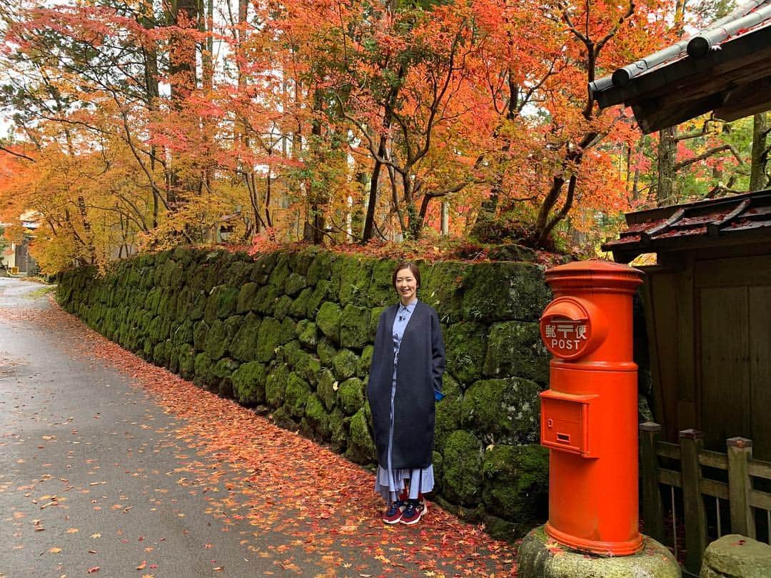 笛木優子のインスタグラム：「今日は紅葉狩り日和ですねー🍁  良い日曜日を🙌🏻」