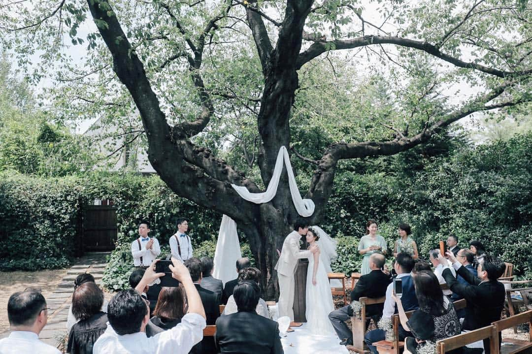 ラクラリエールさんのインスタグラム写真 - (ラクラリエールInstagram)「* 金曜日22:00〜放映のドラマ 大恋愛 の結婚式シーンとして 撮影のロケ地になりました♩*｡ * 放映後たくさんのお問い合わせを頂き ありがとうございます◎ * 樹齢100年を越える桜の大樹の下で おふたりの誓いを立てて頂けます！ * 時期によって表情が変わる ラ・クラリエール。 次の春にはまた綺麗な桜の花が咲くのが 今から楽しみですね♩ * ちなみに、このお写真の結婚式は 今年の8月に行って頂いた方☆ 緑生い茂る中優しい木漏れ日を 感じながらの素敵な挙式でした。 * #三橋の森#ラクラリエール#クラリエール#クラリ #ブーケ#家族挙式 #ウェディングドレス選び#ブライダルフェアレポ #2019年秋婚#大恋愛#撮影ロケ地 #結婚式場 #結婚式 #大宮結婚式場 #ガーデン#ガーデンウエディング #ナチュラルウエディング#大恋愛僕を忘れる君と  #ガーデン挙式#花嫁#プレ花嫁#新郎新婦 #結婚準備#weddingレポ #結婚式#卒花#森の日だまりウエディング *」11月11日 11時31分 - laclairiere