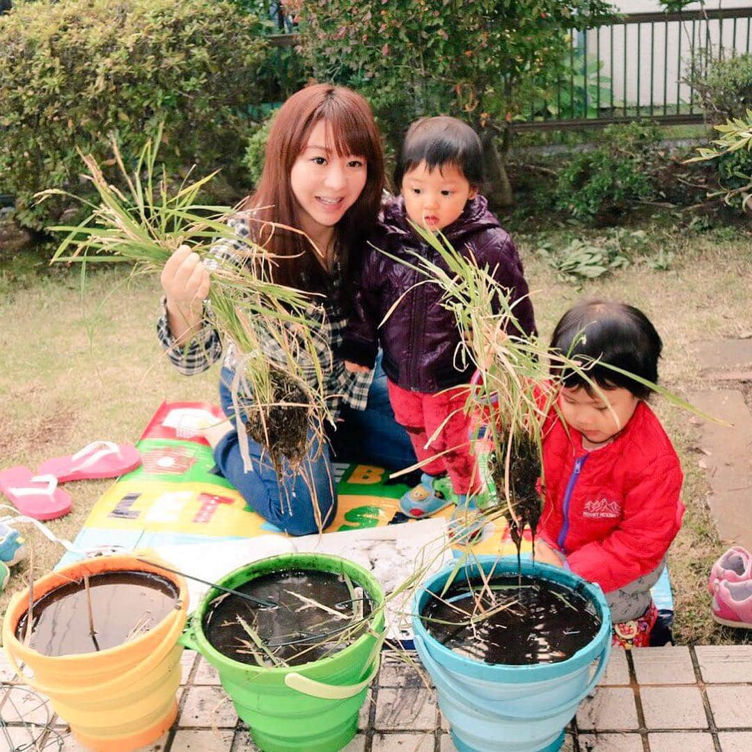 歩りえこさんのインスタグラム写真 - (歩りえこInstagram)「** 子供たちと  ついにバケツ稲の収穫へ♪  脱穀作業→精米作業へ  また精米までの過程をアップしますね ** #バケツ稲 #稲 #ベランダで米作り #農業 #ja #脱穀 #精米 #白米 #お米を食べよう #お米大好きな人と繋がりたい」11月12日 0時06分 - riekoayumi