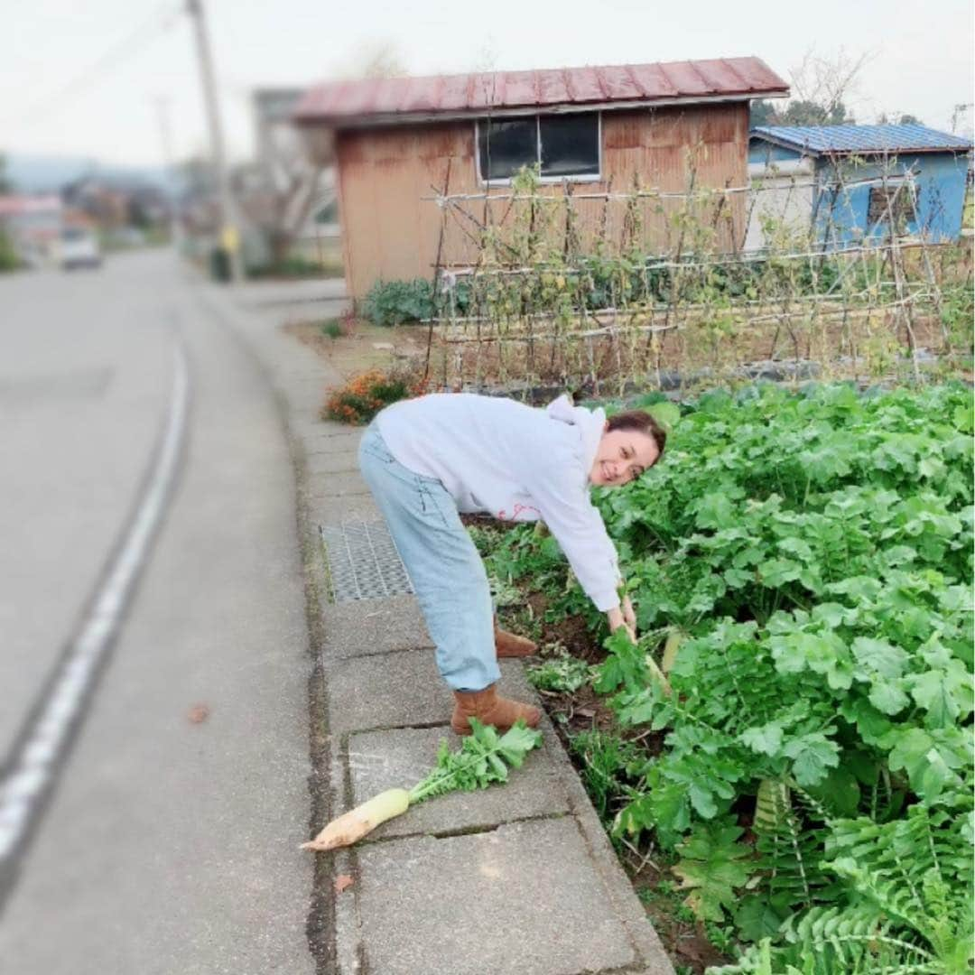 みひろさんのインスタグラム写真 - (みひろInstagram)「おばあちゃんの畑で 大根抜き。 #新潟県 #田舎へ帰ろう #おばあちゃん  #おでん作ろう #mihiro」11月11日 17時13分 - mihiro0519