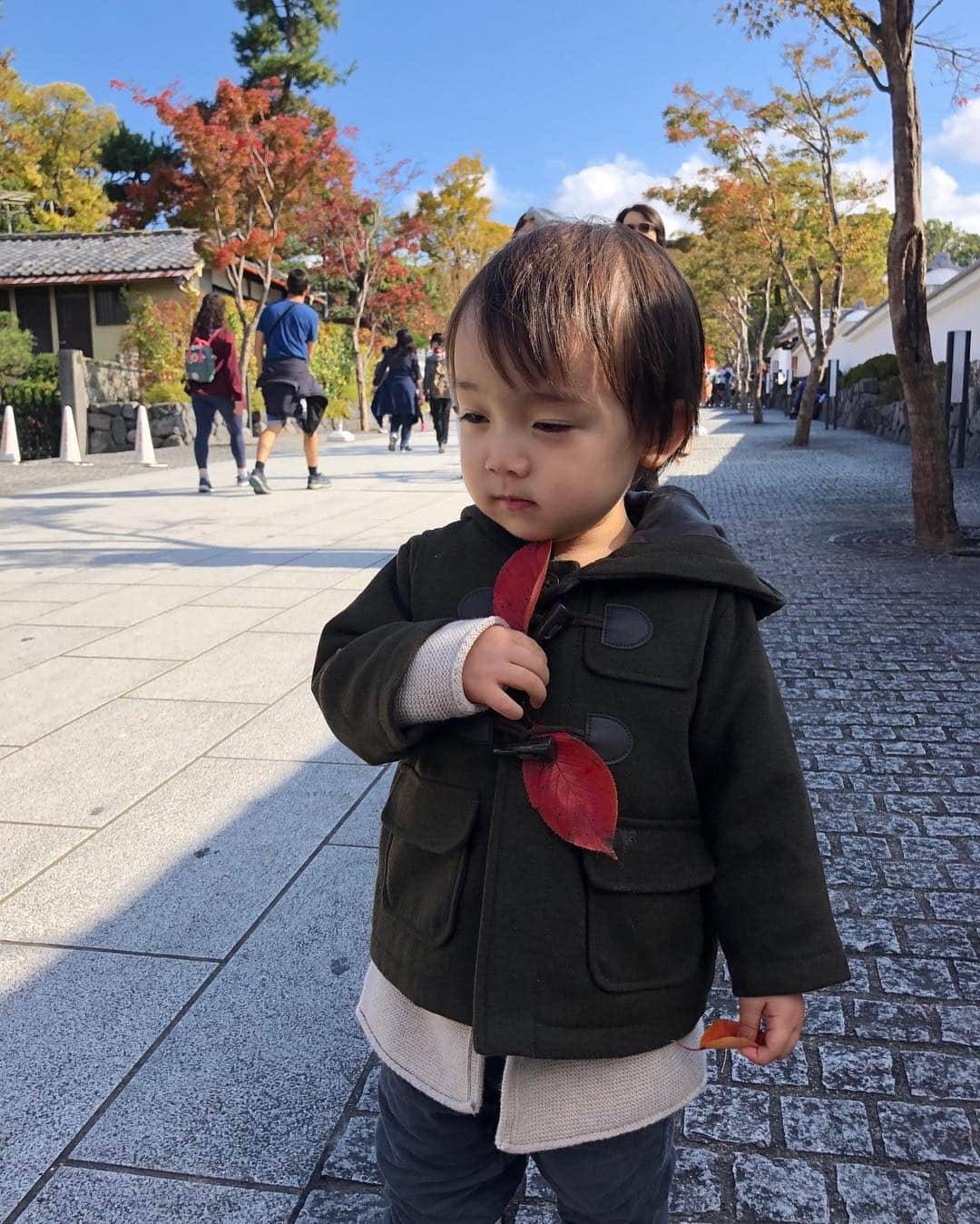 石塚錬さんのインスタグラム写真 - (石塚錬Instagram)「. 👦💬「ぼくの京都旅行 part1⛩🍁」 . 👦💬「My Kyoto trip part1⛩🍁」 . #伏見稲荷大社で満面の笑み⛩ #秋のファッションのポイントは"身にまとう"🍁 #たくさん歩いた あとの牛乳は最高です🍼 #A big smile at Fushimi-Inari Taisha⛩ #The point of fashion in autumn is "to wear leaves"🍁 #The milk after walking is the best🍼 . #石塚錬 #成長日記  #伏見稲荷大社 #fushimiinari #紅葉 #autumn leaves #단풍 #秋叶 #Daun musim gugur #ใบไม้ร่วง #牛乳 #milk #우유 #牛奶 #Susu #นม #ishizukaren #renishizuka #이시즈카렌」11月11日 19時00分 - ishizuka_ren