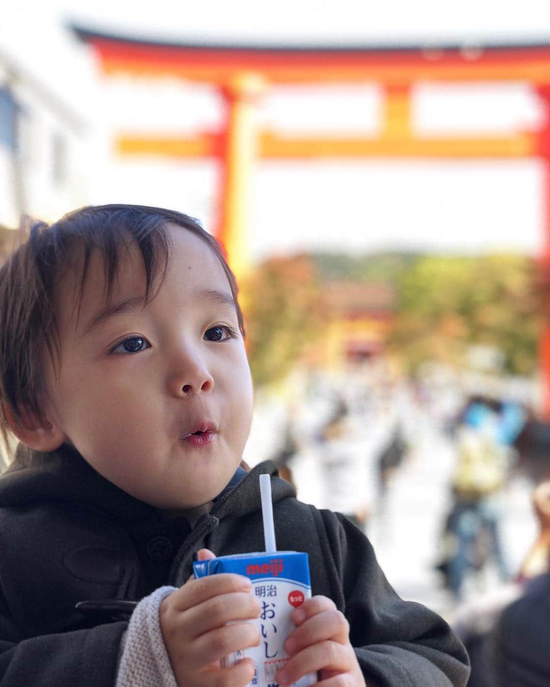 石塚錬さんのインスタグラム写真 - (石塚錬Instagram)「. 👦💬「ぼくの京都旅行 part1⛩🍁」 . 👦💬「My Kyoto trip part1⛩🍁」 . #伏見稲荷大社で満面の笑み⛩ #秋のファッションのポイントは"身にまとう"🍁 #たくさん歩いた あとの牛乳は最高です🍼 #A big smile at Fushimi-Inari Taisha⛩ #The point of fashion in autumn is "to wear leaves"🍁 #The milk after walking is the best🍼 . #石塚錬 #成長日記  #伏見稲荷大社 #fushimiinari #紅葉 #autumn leaves #단풍 #秋叶 #Daun musim gugur #ใบไม้ร่วง #牛乳 #milk #우유 #牛奶 #Susu #นม #ishizukaren #renishizuka #이시즈카렌」11月11日 19時00分 - ishizuka_ren