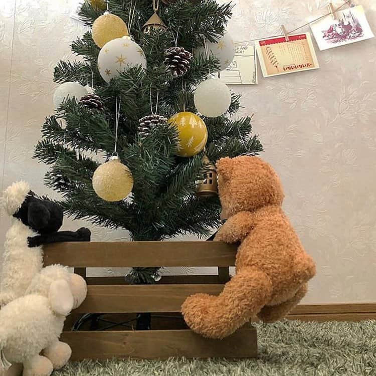 salut!さんのインスタグラム写真 - (salut!Instagram)「. 𖥧＊ クリスマスツリーアレンジリレー ＊𖥧 . . @salut_ikebukuro.kaho さんからバトン受け取りました☺︎𖥧𖥧𖥧 . アレンジリレー最後は私  @salut_nagoyachaya.moeka がご紹介させていただきます ❄︎ . . . 私はsalut!らしい "ナチュラル" をテーマに飾ってみました 𖠿𖧧 . . 飾りつけのポイントは𓈓 2色＋素材の色 ⑅𓅰 今回は白と黄色(金)でまとめて 松ぼっくりやボックスは素材そのままのものを使いました ❄︎❄︎❄︎ . . そして salut!の リサイクルウッドボックス が驚くほどぴったり⍥♡ 脚を隠すだけでグッと見栄えが良くなります☝︎ . . . . 次のpostで 実際にお部屋に飾った写真を投稿いたします♡ . . . ▼ 今回使ったアイテムはコチラ ▼ 𓍲クリスマスツリー90cm ¥1,000+tax 𓍲おうちオーナメントまるGD ¥108+tax 𓍲リサイクルウッドボックス ¥800+tax . . ぜひ店頭にてご覧ください( ¨̮ ) . . . . . #salut! #サリュ #まいにちインテリア #インテリア#雑貨 #インテリア雑貨 #ナチュラル #ナチュラルインテリア #茶屋イオン #イオンモール名古屋茶屋 #クリスマス #クリスマスツリー #飾りつけ #サリュで楽しむクリスマス #クリスマスツリー飾り付け #アレンジ #サンタ #オーナメント #名古屋茶屋 #名古屋 #茶屋」11月11日 19時13分 - salut_shop