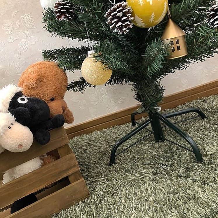 salut!さんのインスタグラム写真 - (salut!Instagram)「. 𖥧＊ クリスマスツリーアレンジリレー ＊𖥧 . . @salut_ikebukuro.kaho さんからバトン受け取りました☺︎𖥧𖥧𖥧 . アレンジリレー最後は私  @salut_nagoyachaya.moeka がご紹介させていただきます ❄︎ . . . 私はsalut!らしい "ナチュラル" をテーマに飾ってみました 𖠿𖧧 . . 飾りつけのポイントは𓈓 2色＋素材の色 ⑅𓅰 今回は白と黄色(金)でまとめて 松ぼっくりやボックスは素材そのままのものを使いました ❄︎❄︎❄︎ . . そして salut!の リサイクルウッドボックス が驚くほどぴったり⍥♡ 脚を隠すだけでグッと見栄えが良くなります☝︎ . . . . 次のpostで 実際にお部屋に飾った写真を投稿いたします♡ . . . ▼ 今回使ったアイテムはコチラ ▼ 𓍲クリスマスツリー90cm ¥1,000+tax 𓍲おうちオーナメントまるGD ¥108+tax 𓍲リサイクルウッドボックス ¥800+tax . . ぜひ店頭にてご覧ください( ¨̮ ) . . . . . #salut! #サリュ #まいにちインテリア #インテリア#雑貨 #インテリア雑貨 #ナチュラル #ナチュラルインテリア #茶屋イオン #イオンモール名古屋茶屋 #クリスマス #クリスマスツリー #飾りつけ #サリュで楽しむクリスマス #クリスマスツリー飾り付け #アレンジ #サンタ #オーナメント #名古屋茶屋 #名古屋 #茶屋」11月11日 19時13分 - salut_shop