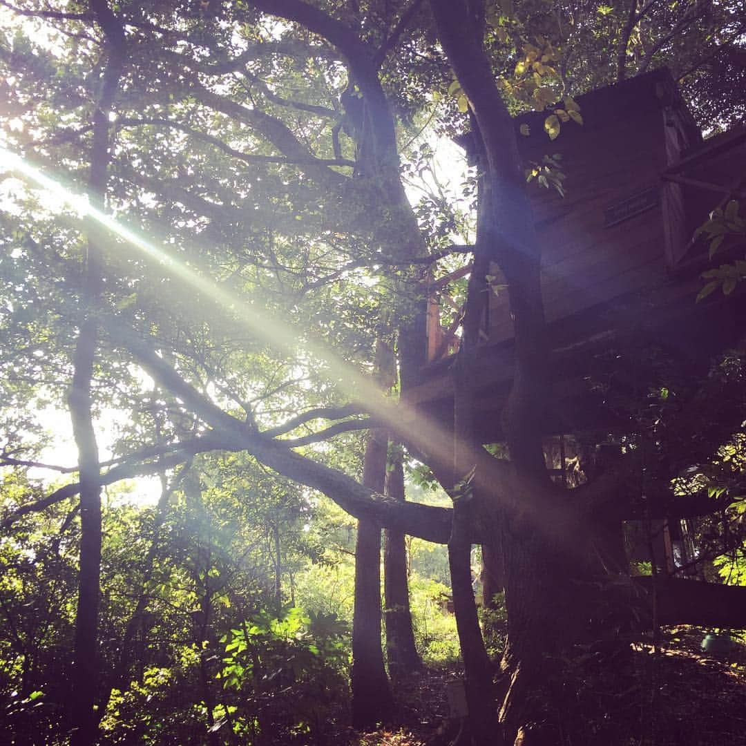片山瞳さんのインスタグラム写真 - (片山瞳Instagram)「#treehouse #forestjam」11月11日 21時01分 - hitomikatayama