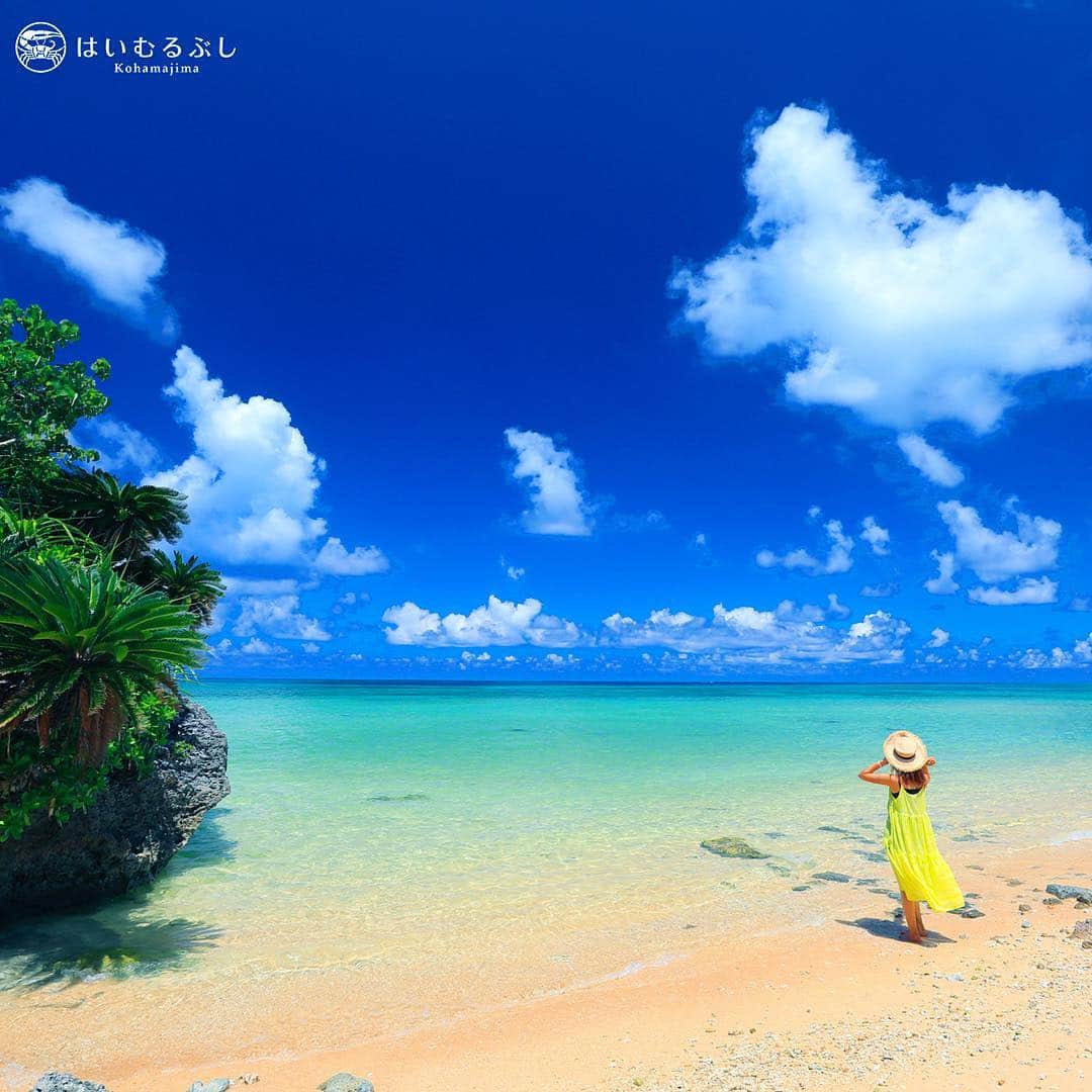 HAIMURUBUSHI はいむるぶしさんのインスタグラム写真 - (HAIMURUBUSHI はいむるぶしInstagram)「離島にある隠れ家的な小さな砂浜。国道の脇道を入って行くと素敵な海景に出会えるかも…  #沖縄 #八重山諸島 #砂浜 #ビーチ #海景 #小浜島 #リゾート #はいむるぶし #japan #okinawa #yaeyamaislands #beach #resort #hotel #haimurubushi @minefuyu_yamashita.okinawa」11月12日 9時27分 - haimurubushi_resorts