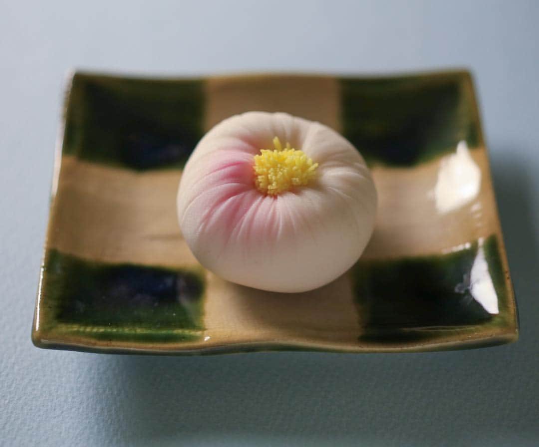 Toru Tsuchieのグルメインスタ