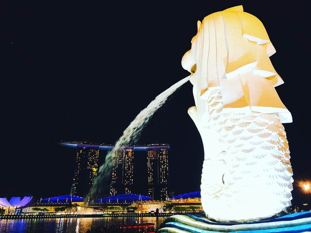 松原江里佳さんのインスタグラム写真 - (松原江里佳Instagram)「シンガポール最後。 部屋では可愛いお出迎え😍💕 マリーナベイサンズのプールサイドから夜景をみると、この世界を支配した感じがした。 部屋に戻ってシャワーを浴びると、お湯がなかなか出なくて浴室でチョンチョンつま先立ち あぁ、踊らされてる。これが現実。 #夜景  #marinabaysands  #pool  #マリーナベイサンズ  #シンガポール #でこ #スターダスト #フリーアナウンサー」11月12日 17時18分 - erika_matsubara