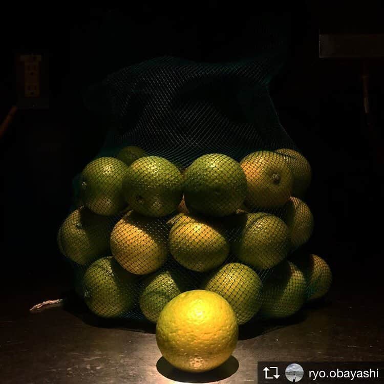 板井麻衣子のグルメインスタ