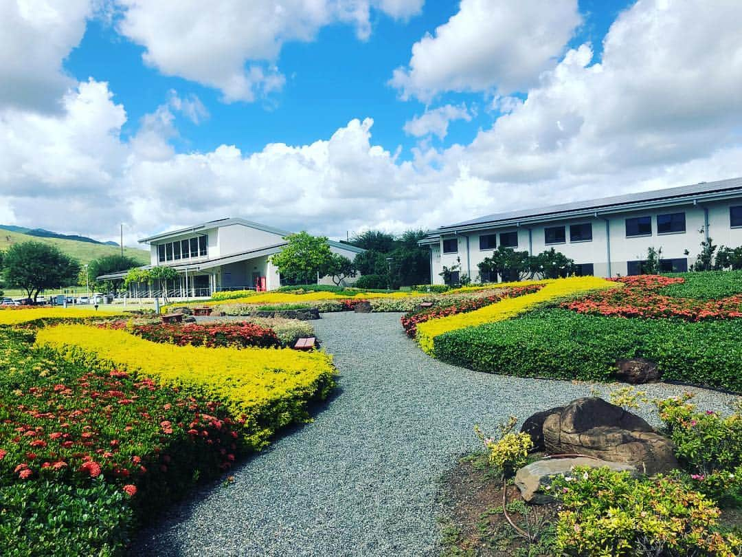 東海大学（公式）さんのインスタグラム写真 - (東海大学（公式）Instagram)「【🌺ハワイ東海インターナショナルカレッジのご紹介🌺】 皆さんはハワイに東海大学の海外教育機関があることをご存知ですか? オアフ島西部のカポレイ地区にHawaii Tokai International Collegeがあります✨ HTICでは国際色豊かな環境の中で将来のために必要な多くのことを学ぶことができます👍 興味がある方はぜひHPをご覧ください😊💕 http://htic.pr.tokai.ac.jp/ #東海大学#HTIC#hawaii#global」11月13日 13時48分 - tokai_univ_