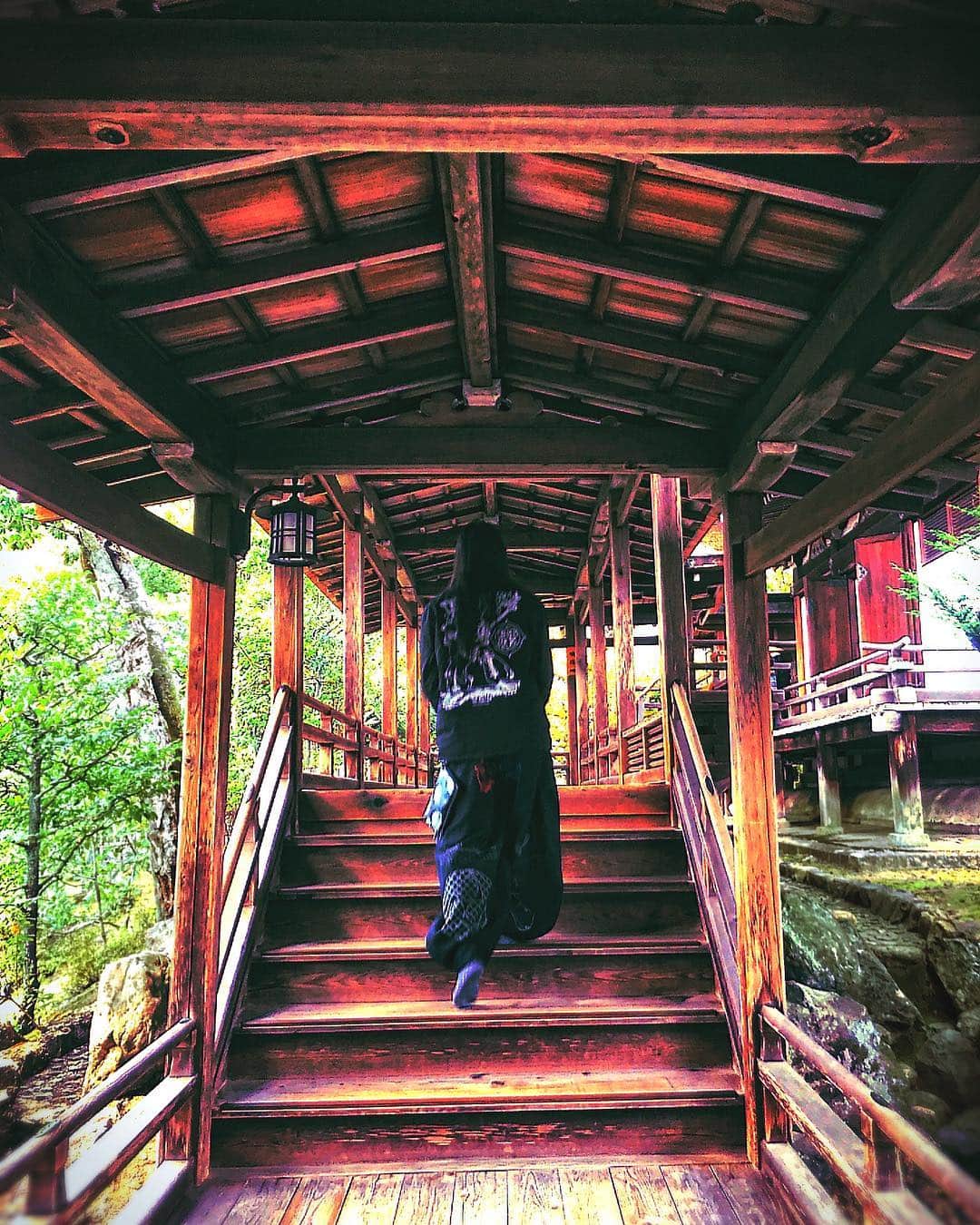 KenKenのインスタグラム：「秋めいてきたね。」