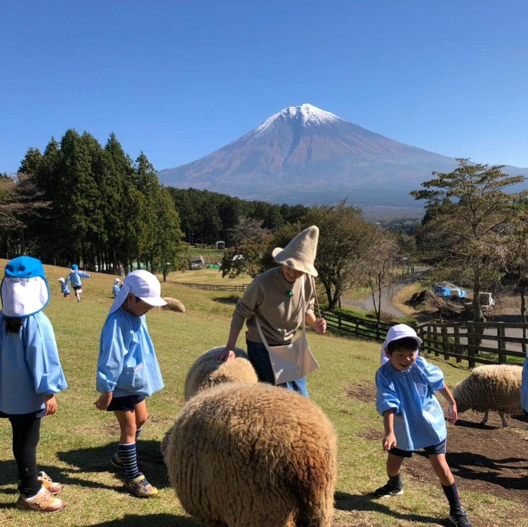 静岡第一テレビさんのインスタグラム写真 - (静岡第一テレビInstagram)「このあと4時50分からのまるごと【買いたい新書】  気分はハイジ？富士山一望！絶景◯◯体験✨👏 尼神インターの2人と薫平アナが手作りチーズに挑戦です👀🧀 #daiichitv #shizuoka #まるごと #買いたい新書 #ロケ写真📸 #尼神インター #薫平アナ #みんな楽しそう☺️☺️」11月13日 16時49分 - daiichi_tv