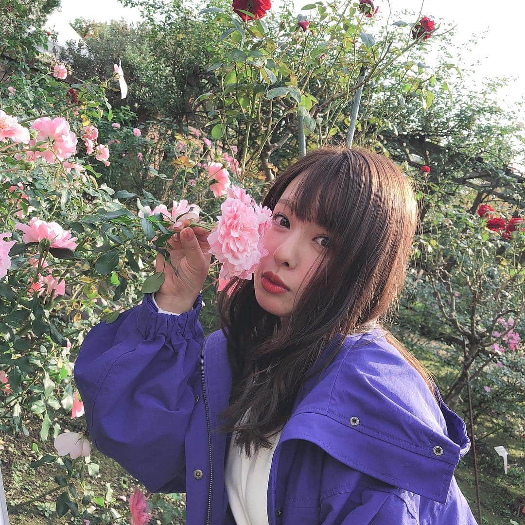 山田菜々さんのインスタグラム写真 - (山田菜々Instagram)「Flower🌹 お花畑とかベタだけど行きたい😌 #flower #🌹」11月13日 17時46分 - tannana.yamada