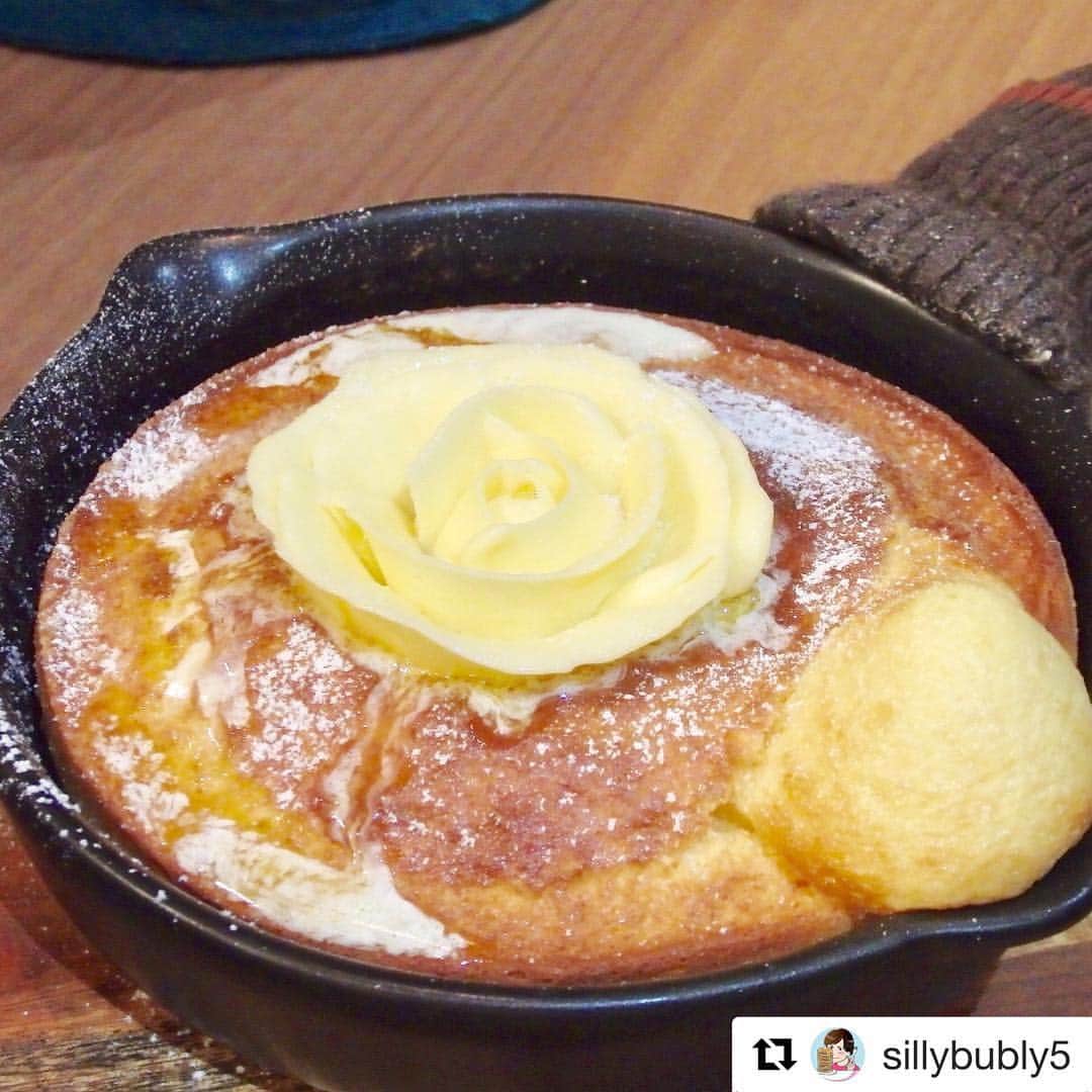 メシコレ(mecicolle) のグルメインスタ