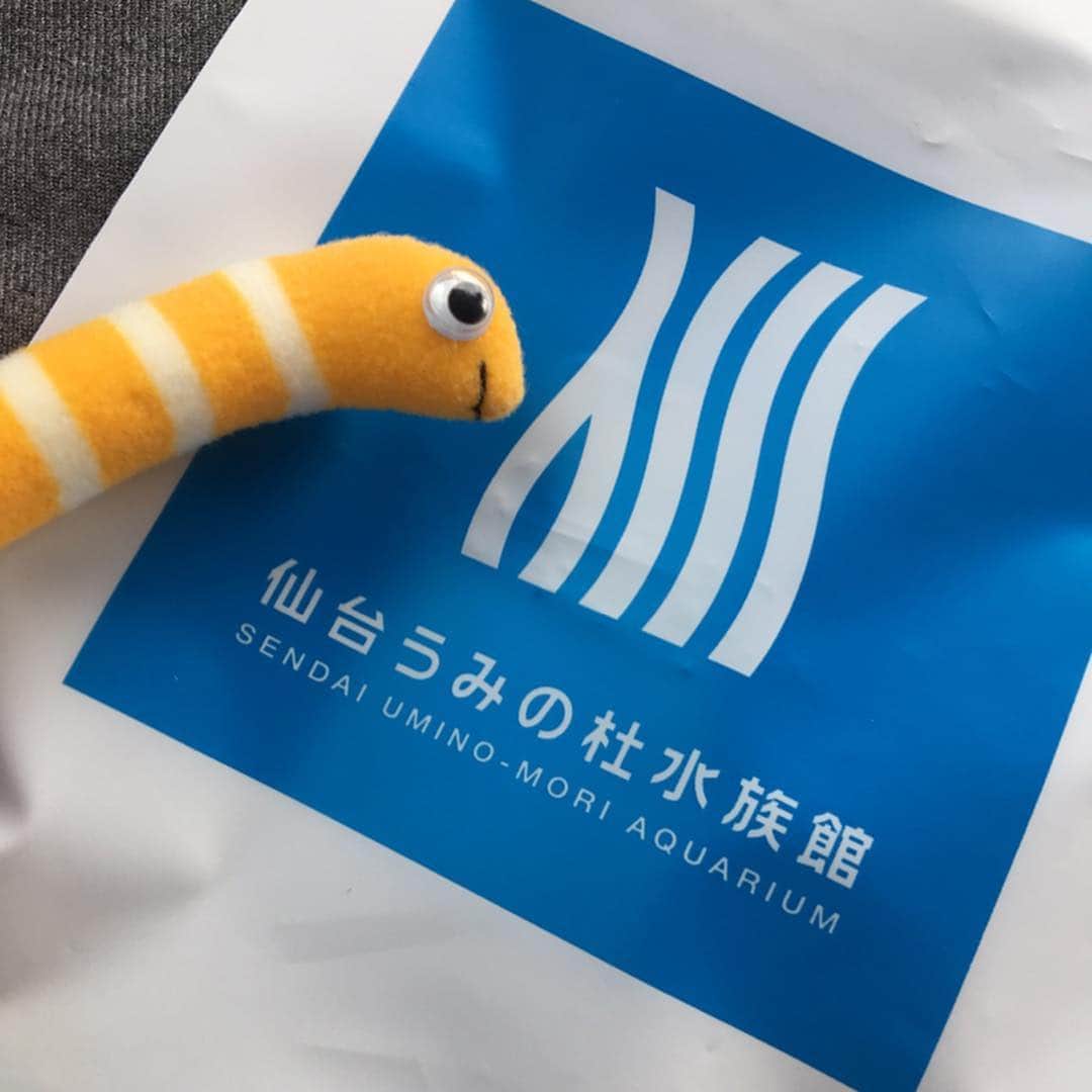 佐藤あり紗のグルメインスタ