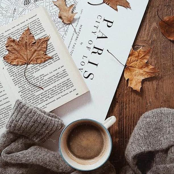 ステファンケリアンのインスタグラム：「AUTUMN -- INSPIRATION  Cozy autumn in Paris... 📷 : @domsli22  #autumnmood #fallleaves #flatlay」