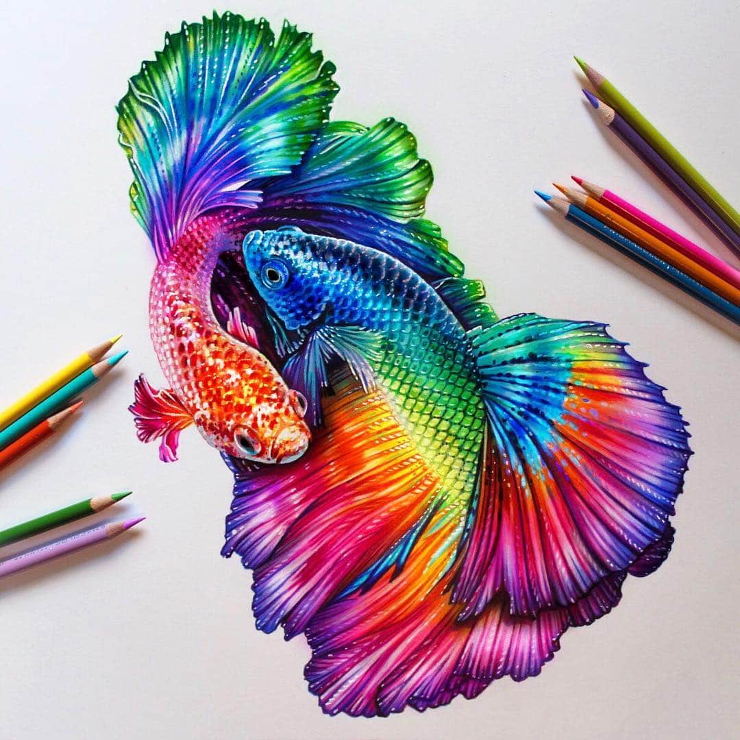 Morgan Davidsonのインスタグラム：「Fun rainbow beta fish study I finished up today! 🐟🌈 Colored pencil on a marker base with white paint pen details. ✨ I’ll post the full video soon! Also, I’m starting my constellation fantasy portrait this week, so stay tuned for updates! 💕」