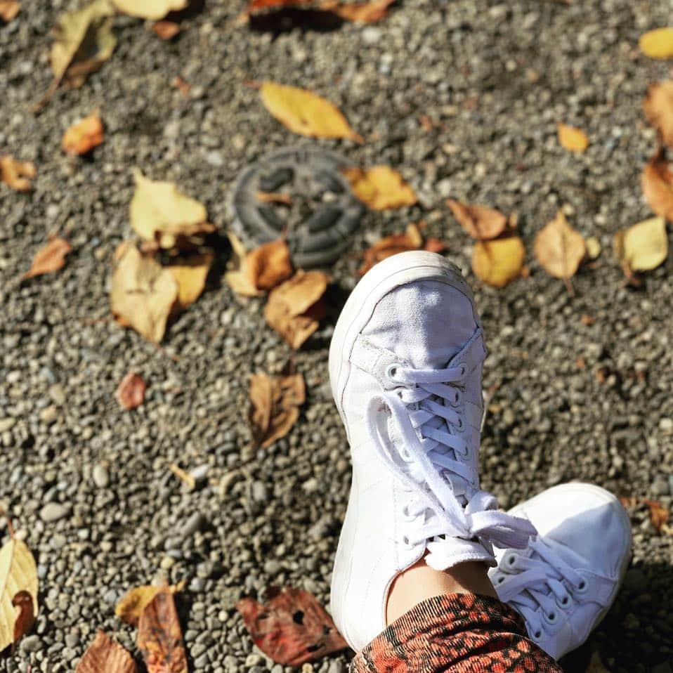 天満のどか & 愛野ユキのインスタグラム：「汚れたスニーカーと強めの柄と落ち葉。  #センチメンタルになるやつ #季節感 #❤ #こういうのはだいたいユキ」