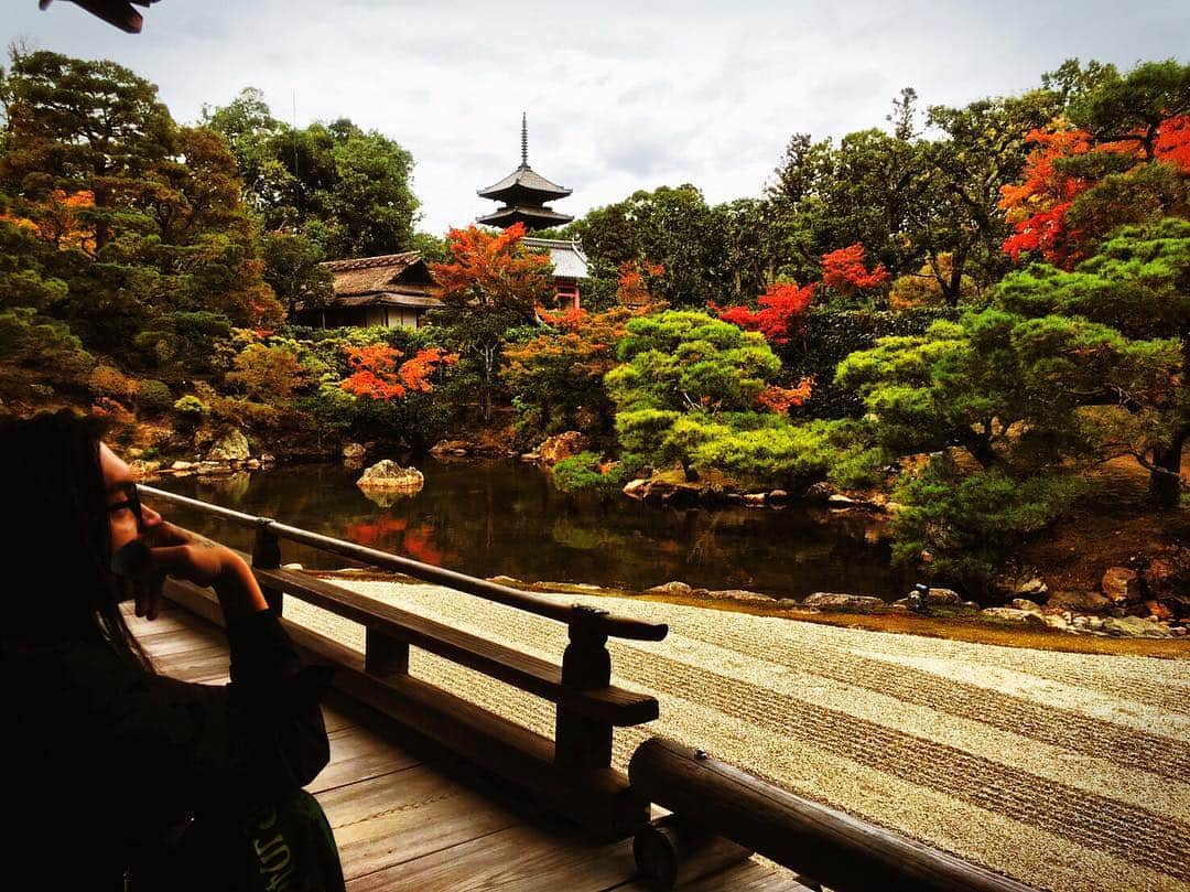 KenKenのインスタグラム：「この街に越してよかったなぁ。」