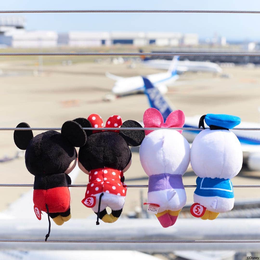 のインスタグラム：「#20181114 * 大きな飛行機にうっとり。 今度、私たちも大きな飛行機乗ろうね～ * #ちょっこりさん #ぬい撮り#ぬいぐるみ #chokkorisan#disney #takaratomyarts #ぬいぐるみと撮り隊 #disney写真部 #ちょっこりさん好きな人とつながりたい #空港#飛行機」