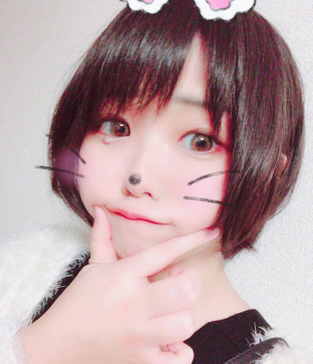 くろねこさんのインスタグラム写真 - (くろねこInstagram)「ふむ(๑╹ω╹๑ ) #自撮り #自撮り女子 #selfie #japanesegirl #ショートヘア」11月14日 20時00分 - kuronekoshi_nya