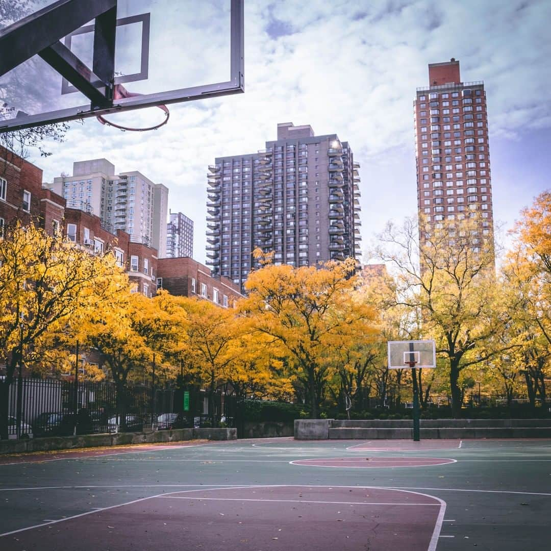 Rikutoさんのインスタグラム写真 - (RikutoInstagram)「この前のvlogでシュートしたコート😏⠀ 🏀⠀ 🏀⠀ 🏀⠀ Buildings and buckets⠀ 🏀⠀ 🏀⠀ 🏀⠀ #ネットがないのもないでいいけどシュートが入りまくるからボールがバスケットの裏に転がっていってしまうのは少し不便ちゃあ不便 #バスケ🏀 #ニューヨーク #紅葉」11月14日 20時22分 - rikutoaf