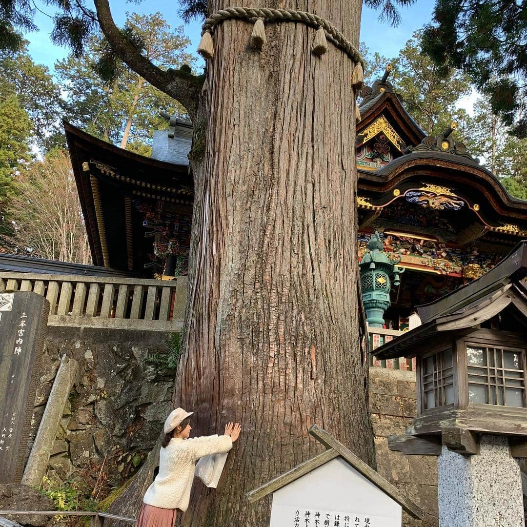 みひろさんのインスタグラム写真 - (みひろInstagram)「大自然が恋しくなるお年頃✨ #三峯神社 #三峯神社氣守り  #紅葉 #氣  #手島優 ちゃん #mihiro」11月14日 20時39分 - mihiro0519