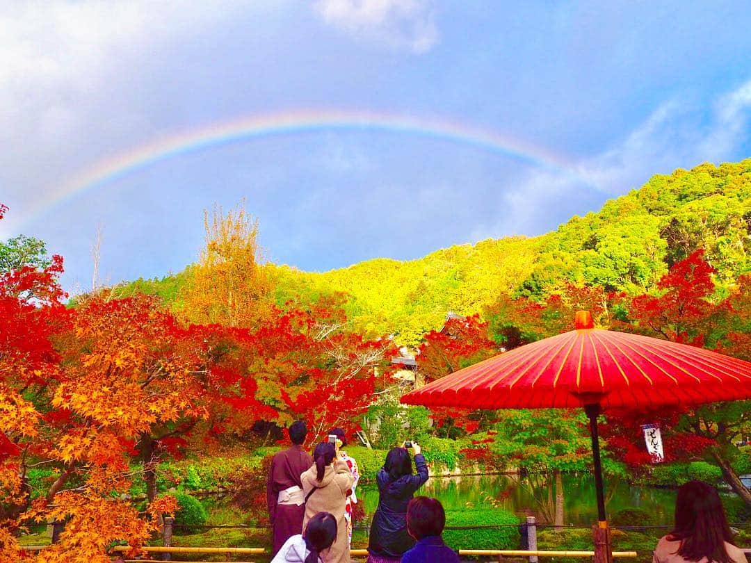 大寺かおりさんのインスタグラム写真 - (大寺かおりInstagram)「🌈🍁☺️💕 きのう京都で見た虹✨ 紅葉と一緒に見られました☺️ . わらび餅を食べていて ふと見たら虹が🌈✨ . 自然界が作り出す色彩の豊かさ。 . 実際はもっと鮮やかで綺麗で 写真では表現しきれませんが せっかく撮ったので☺️ . #京都 #紅葉 #京都の紅葉 #永観堂 #永観堂禅林寺 #永観堂の紅葉 #もみじ #秋 #お寺 #写真 #写真好き #ファインダー越しの私の世界 #虹 #虹と紅葉 #写真が趣味 #フォトジェニック #紅葉狩り #京都紅葉 #photo #photography #photogenic #photooftheday #kyoto #japan #camera #olympus」11月15日 11時44分 - kaori_ootera