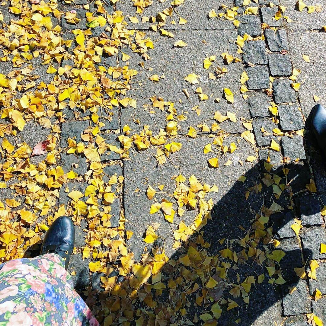 三倉佳奈さんのインスタグラム写真 - (三倉佳奈Instagram)「黄色の季節☺︎ わたしの好きな季節のひとつ✨ . . #いちょう #黄色い葉っぱと青い空 #いいお天気で気持ちいい🌈」11月15日 13時21分 - kana_mikura0223
