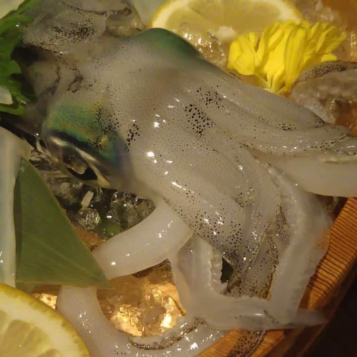 九州うまか 北浜店のグルメインスタ