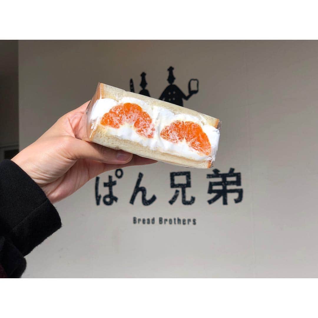 木南晴夏さんのインスタグラム写真 - (木南晴夏Instagram)「このフルーツサンド たまらなく好きだった #🍊」11月15日 14時25分 - kinamitopan