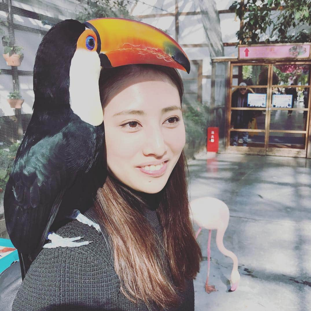 島村まみのインスタグラム