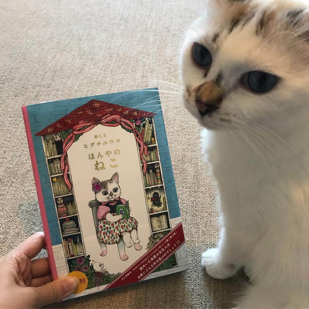 naoko nakuiのインスタグラム：「発売されました！『ほんやのねこ』#ヒグチユウコ」
