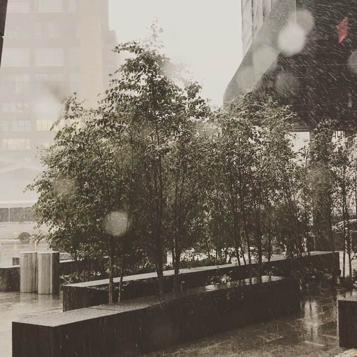 のインスタグラム：「#初雪 #大雪 #猛吹雪 😱❄️☃️ #11月 #まさかの #ニューヨーク #長靴履いて来ればよかった #snow #neige #nyc #november #novembre #blizzard #laviequotidienne #nylife #ニューヨーク生活 #海外生活 #海外で働く」