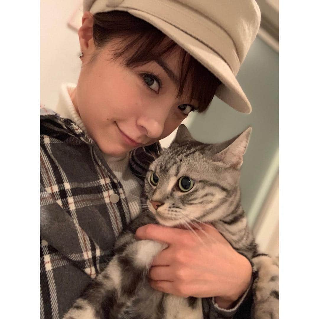 のインスタグラム：「とても嫌がられた…。ごめん🙀 #サンタ #アメショー #mihiro」