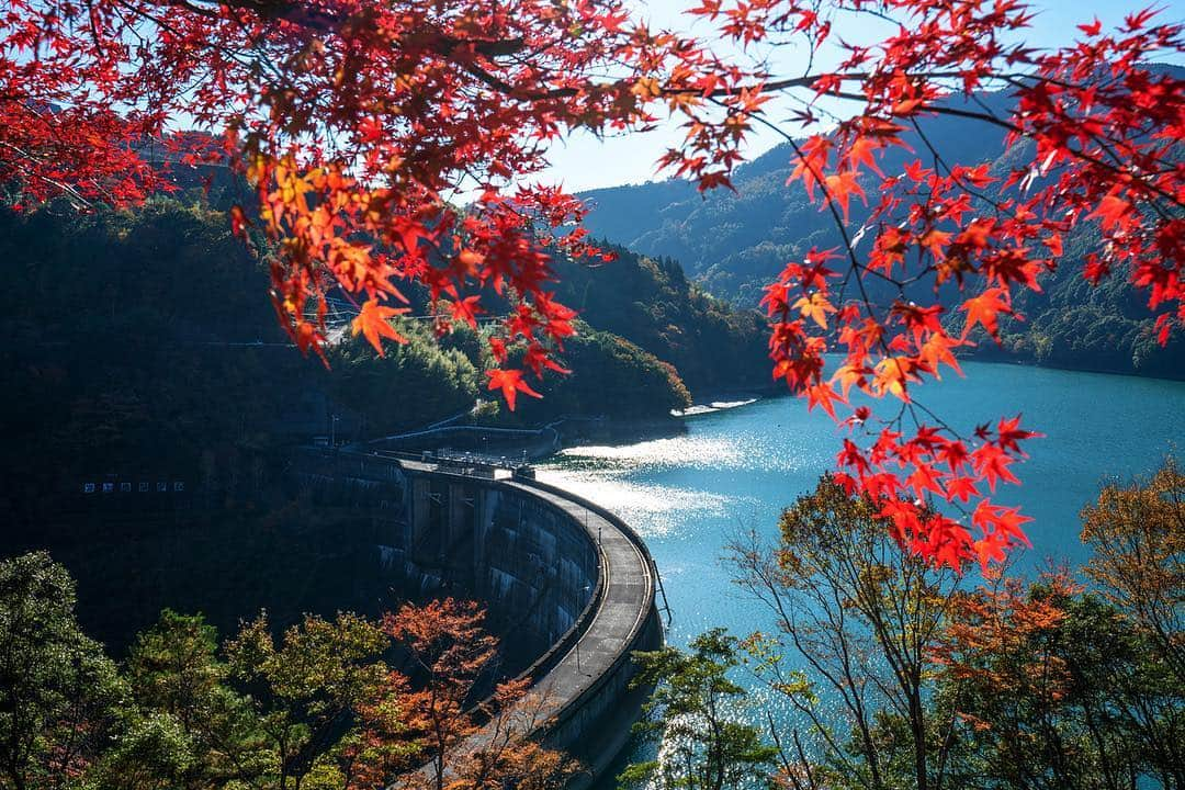 九州電力さんのインスタグラム写真 - (九州電力Instagram)「電気が生まれる上椎葉ダム🍁高さ110メートル、長さ341メートルの日本初本格的アーチ式ダムです✨  #九州電力 #kyuden #九電 #九州の灯り #上椎葉ダム #上椎葉水力発電所 #紅葉の秋 #ダム #アーチ式ダム #ダム湖百選 #ダムマニア #ダムカード #水力発電 #水力発電所 #もみじ #紅葉めぐり #紅葉2018 #景色好きな人と繋がりたい #写真好きな人と繋がりたい #宮崎カメラ部 #宮崎大好き #miyazaki #宮崎県 #椎葉村 #宮崎観光 #宮崎旅行 #九州旅行 #九州 #kyushu #九州愛」11月16日 17時00分 - kyuden_official