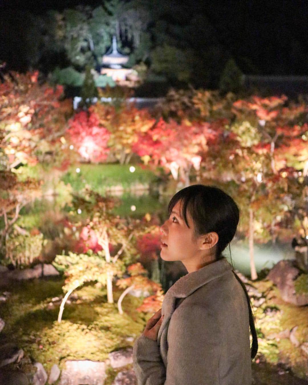 のインスタグラム：「、 、 、 、 昨日の現像 、 、 、 、 、 #kyoto #kyototemple #kyotoshrine #shrine #toji#東寺#京都#京都観光 #寺#五重の塔#五重塔 #禅林寺#zenrinji #ライトアップ#京都ライトアップ #お寺#お寺巡り #紅葉#紅葉ライトアップ #lightup #湖#pond#lake#kyototravel #japanesetemple #japaneseculture #撮影会#撮影モデル」