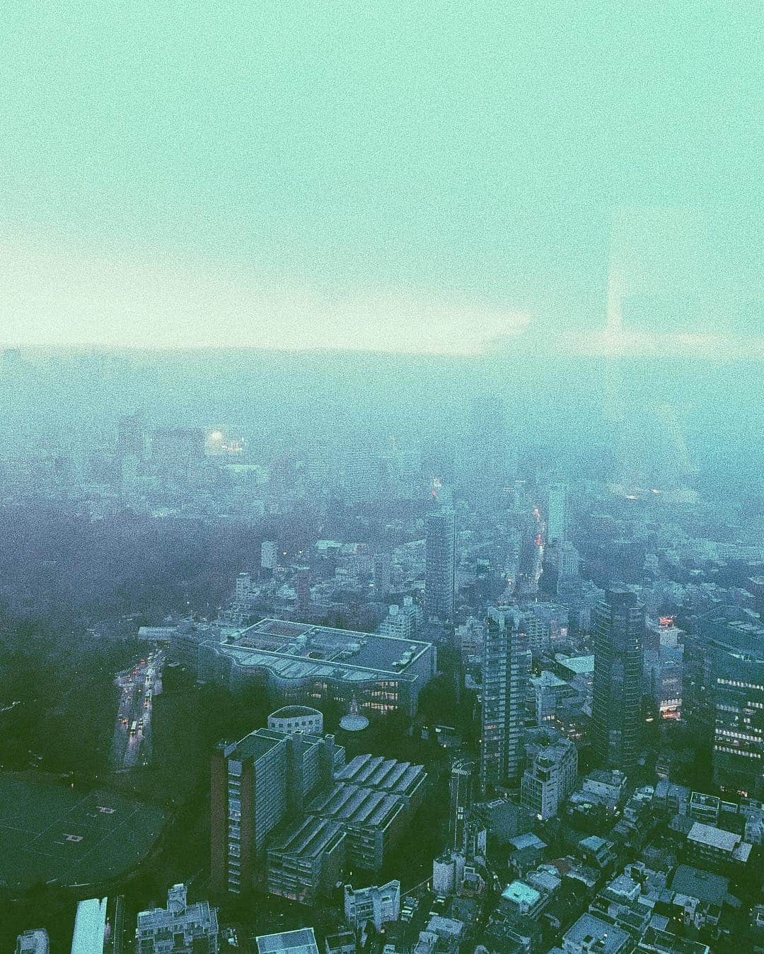 真山朔のインスタグラム：「🏙」