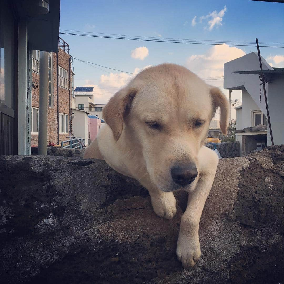 イ・チョニさんのインスタグラム写真 - (イ・チョニInstagram)「그냥 오늘은 제주도가 생각나서~~!! 맑은하늘 보구싶네요~~~^^ #이천희 #영화애월」11月16日 20時40分 - chuny012